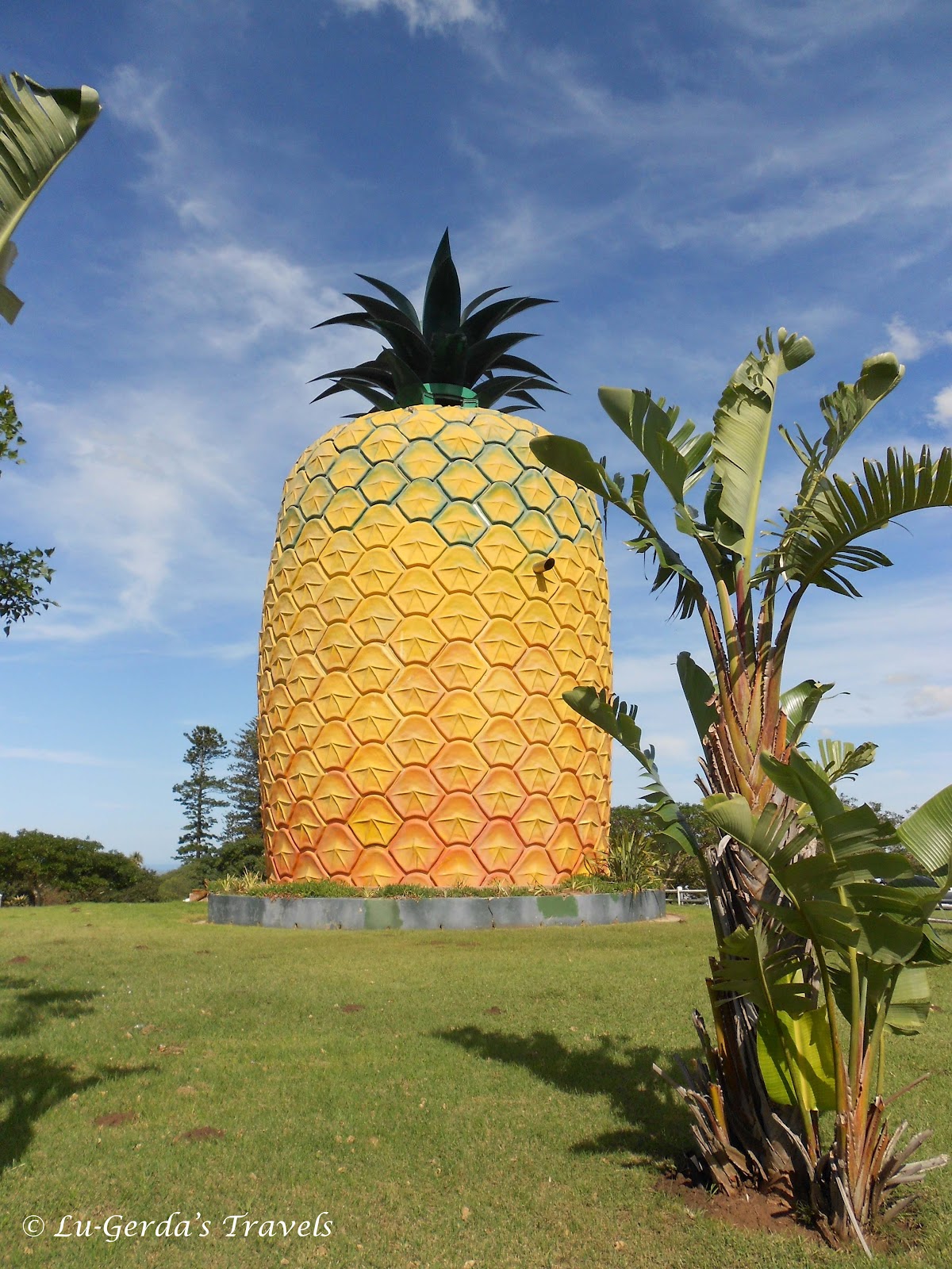 Bathurst Big Pineapple