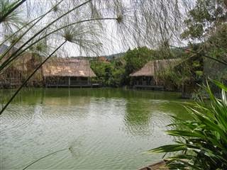 Sapu Lidi Sapu Lidi