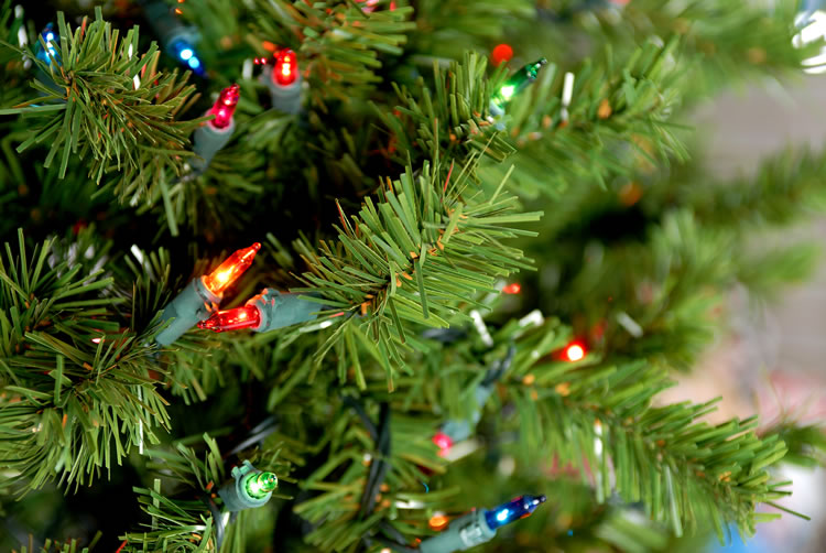 All about plants and planters Artificial Christmas trees don't smell