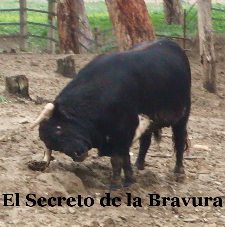 El Secreto de la Bravura Las fundas