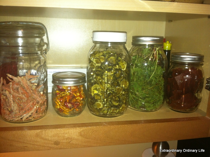 Extraordinary Ordinary Life Tomato sauce leather and how to rehydrate