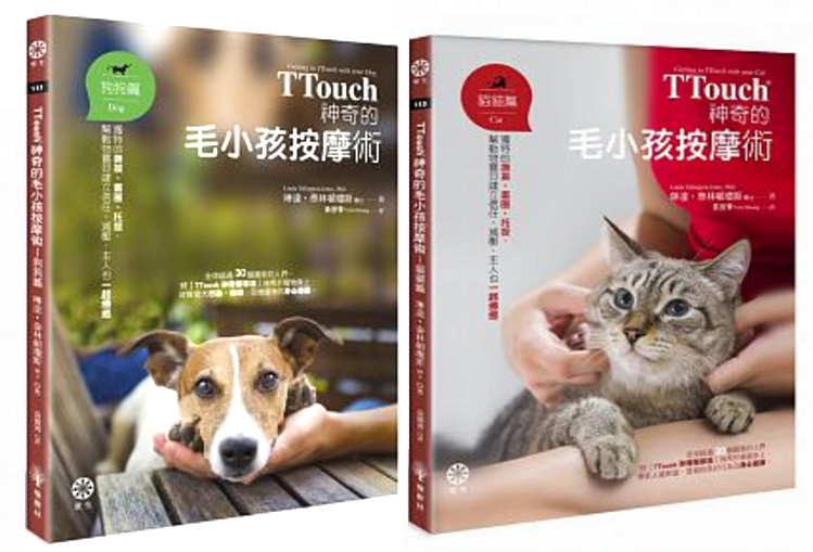 TTouch中文書已上巿！