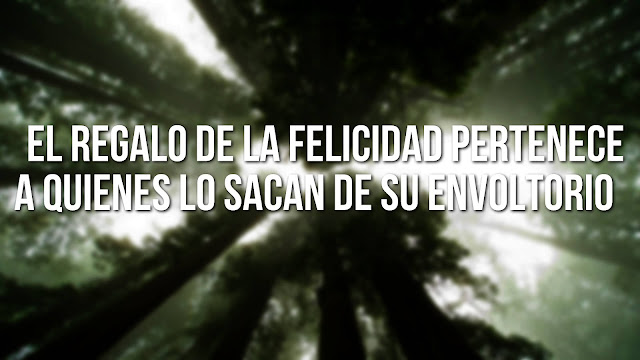 frases de felicidad frases de felicidad