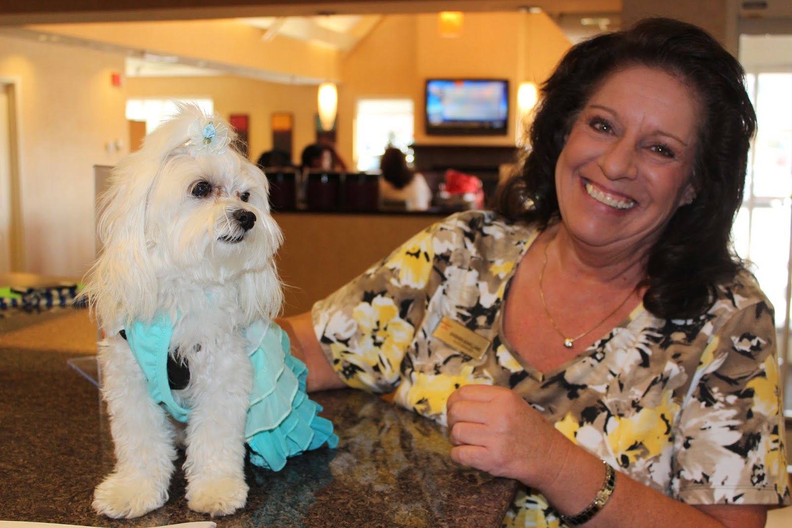 Me and Miss Daisy PetFriendly 5 Star Amarillo Marriott Residence Inn