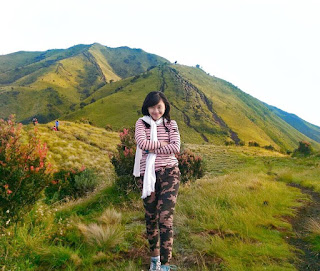 Sabana di gunung merbabu