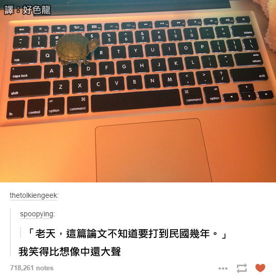 Essay on gnh
