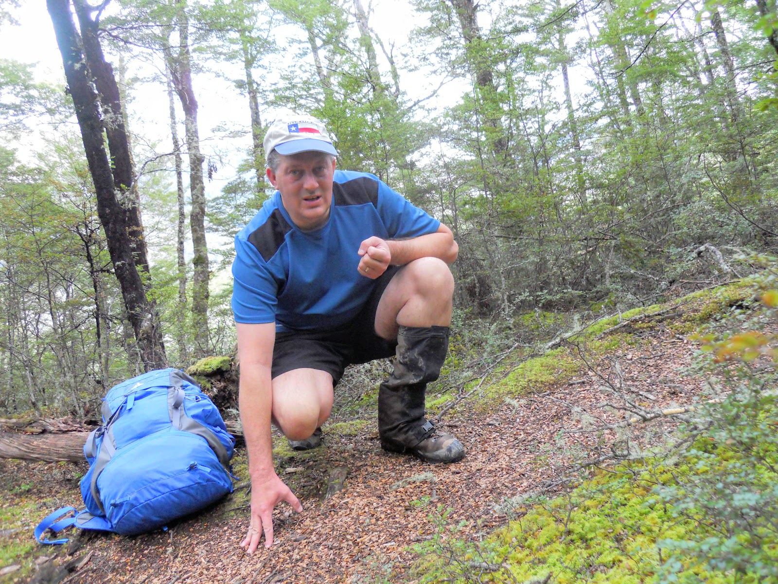 Tramping in the New Zealand backcountry NZ Bush Adventures Tramping
