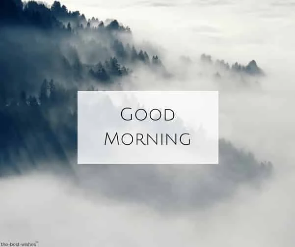 good morning images nature hd