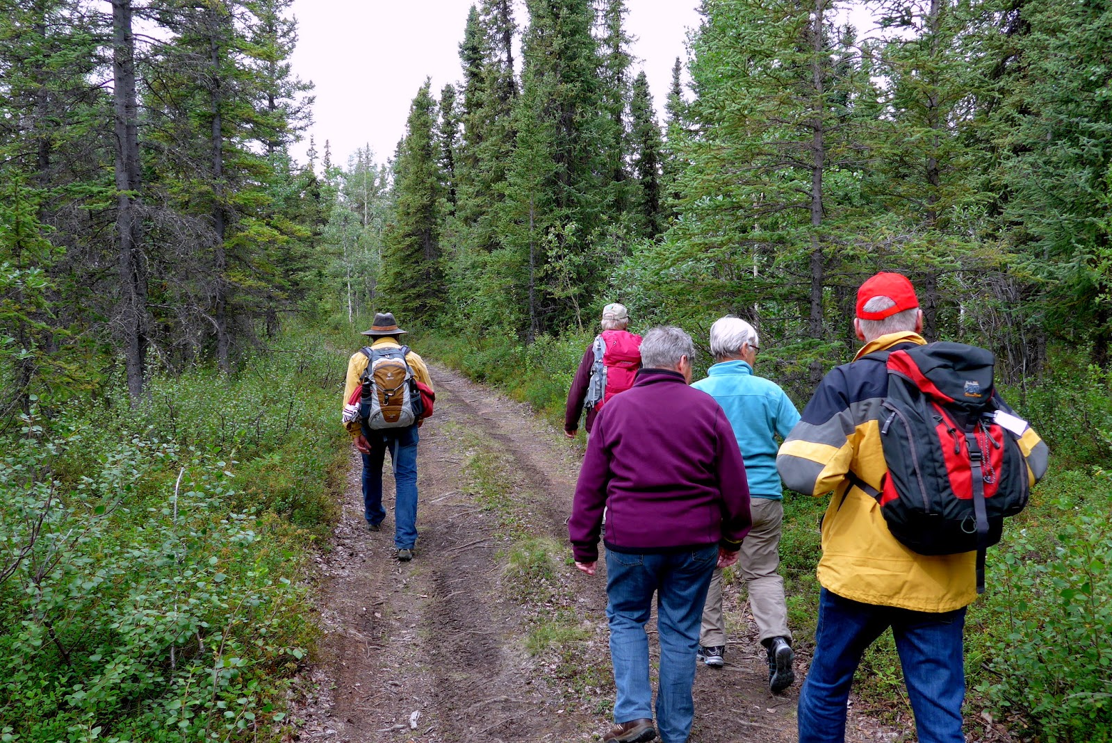 We are off on our hike in Wrangell - St. Elias National Park Preserve