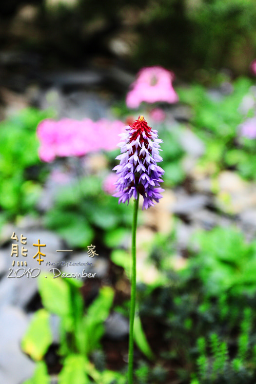 花博新生園區|未來館~台灣四大生態總匯集