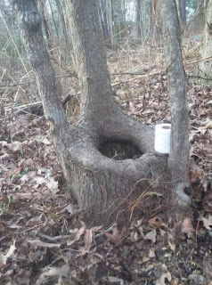 These funny photos will give reason to smile ! फनी इमेजेज फॉर व्हात्सप्प मेस्सगेस