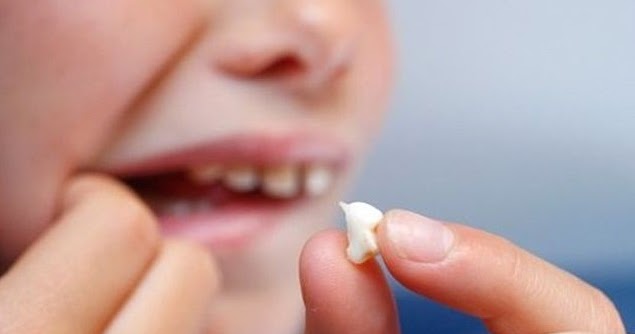 Firasat Mimpi Gigi Copot Menurut Primbon Jawa Primbon Jawa Kuno