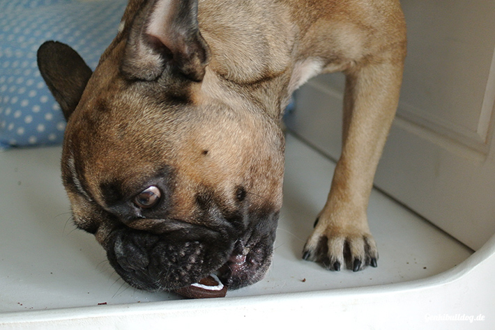 Rezept: Wiesngebäck für Hunde selbst machen Rezept: Wiesngebäck für Hunde selbst machen