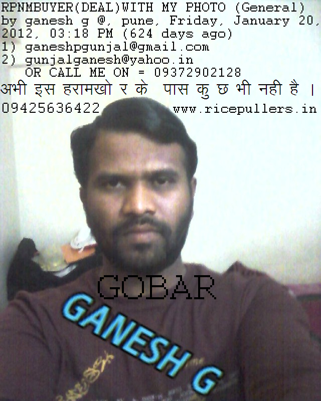 ricepuller rice puller ricepullers ricepuller rice puller ricepullers