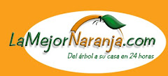 Mis marcas de confianza