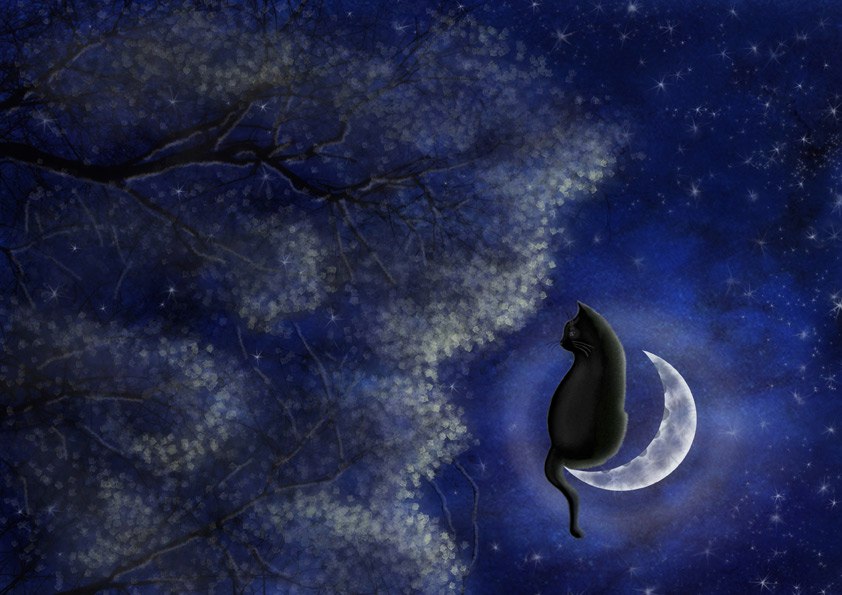 Луна стучит. Сказочная ночь. Ночь рисунок. Весенняя ночь. Ночь иллюстрация.