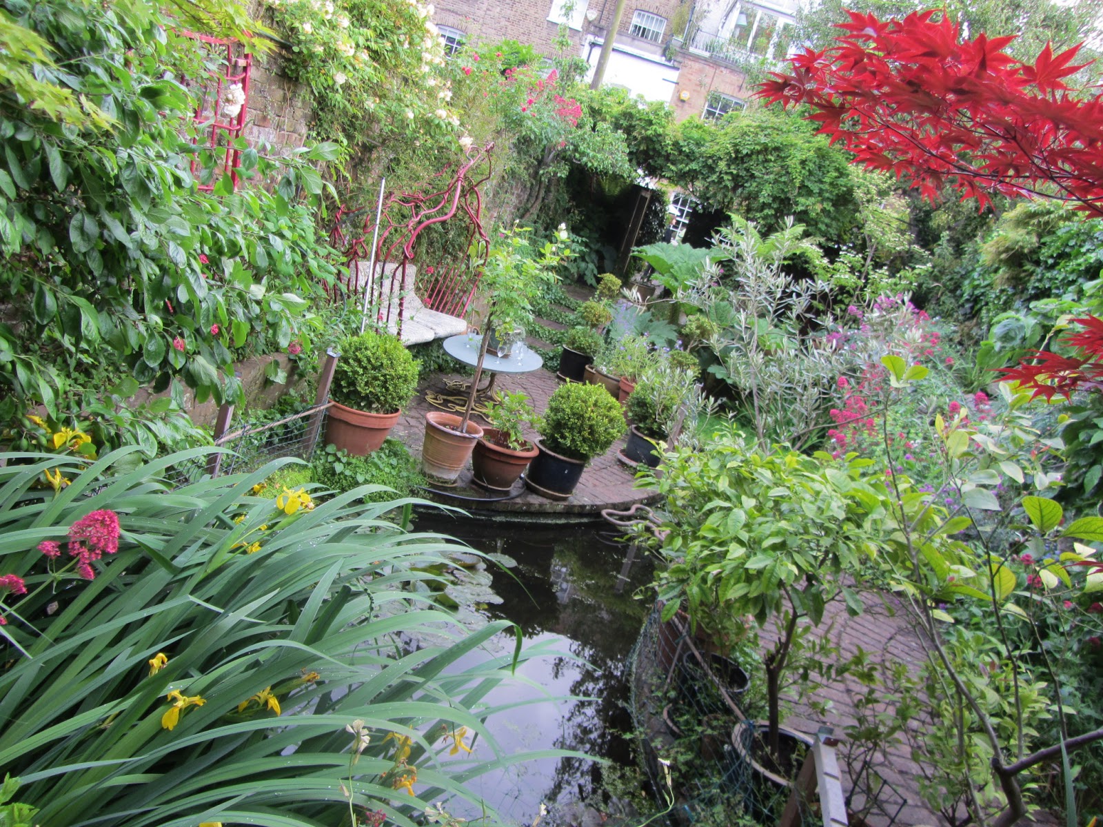 Ham Life A small and special garden in St Helena Terrace, Richmond