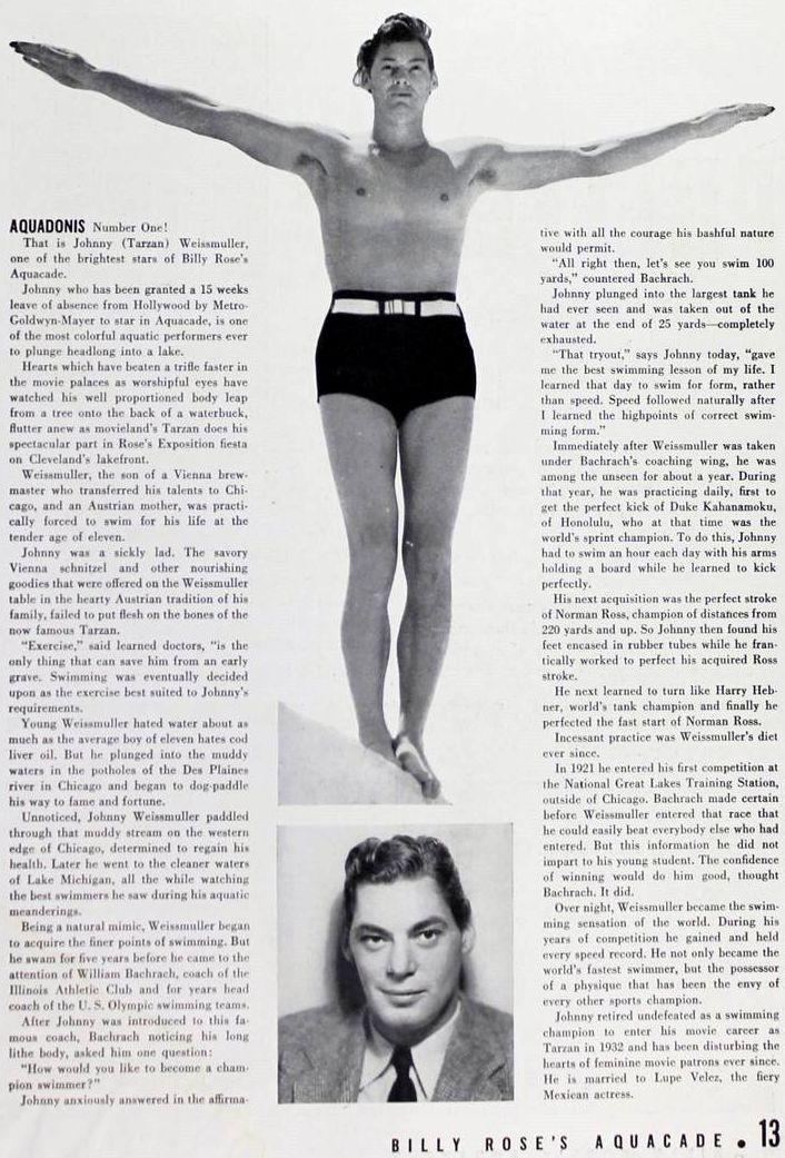 bing swimming costume