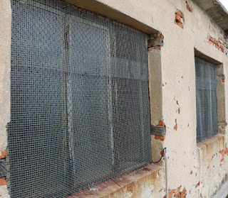 Now those swallows can't get in and out via the windows Now those swallows can't get in and out via the windows