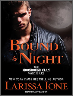 Review: Bound by Night by Larissa Ione