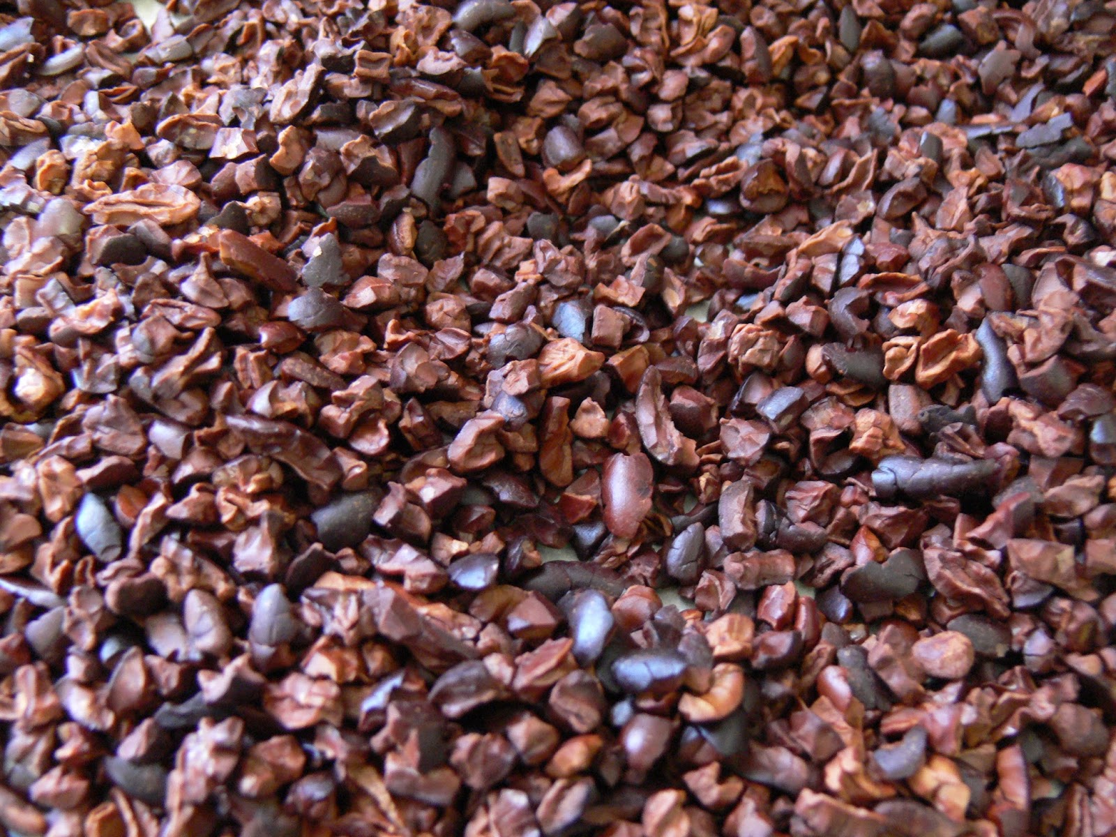 5 Surefire Ways cocoa beans Will Drive Your Business Into The Ground