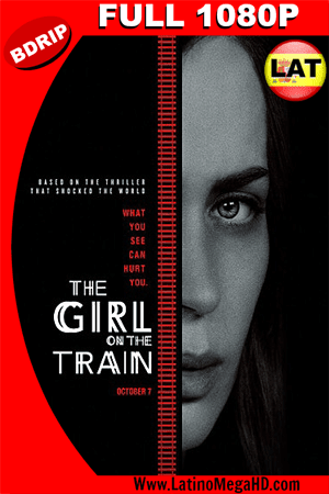 La Chica del Tren (2016) Latino HD BDRIP 1080P - 2016