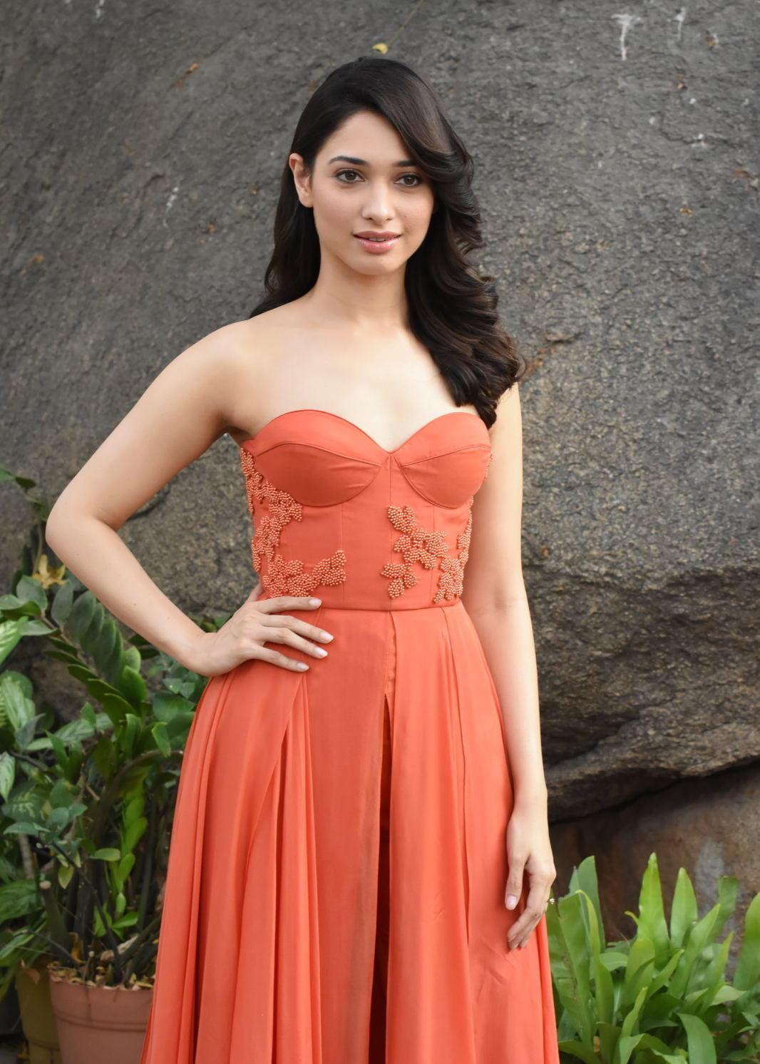 High Quality Bollywood Celebrity Pictures Tamannaah Bhatia Looks Super