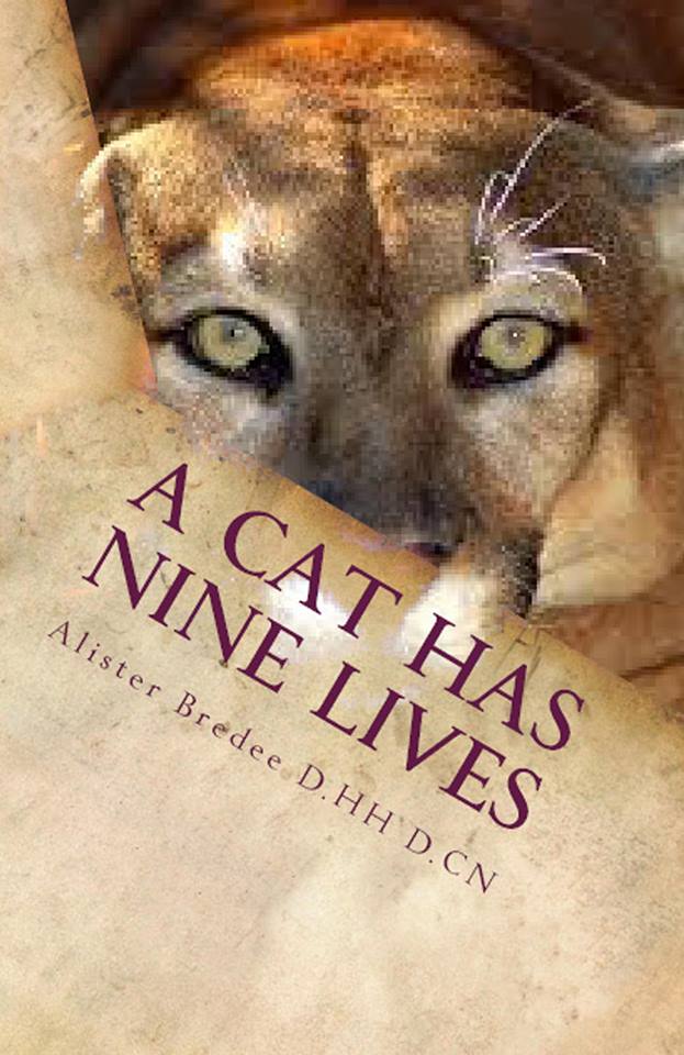 Healthambit A Cat Has Nine Lives