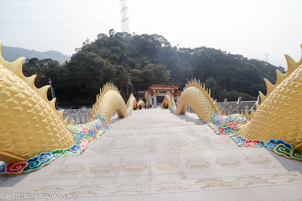中寮金龍山法華寺兩尾亞洲最長80米金龍護持,還有雙鳳凰迎賓 中寮金龍山法華寺兩尾亞洲最長80米金龍護持,還有雙鳳凰迎賓