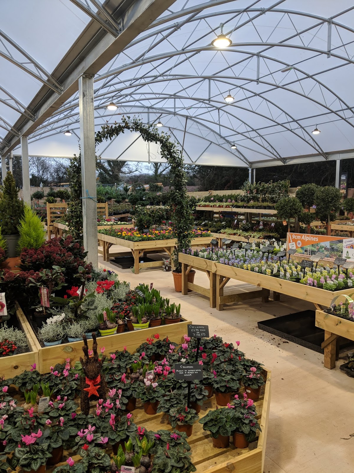 Combe Garden Centre in Honiton, Devon Review