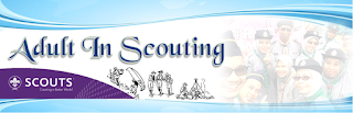 Adult In Scouting