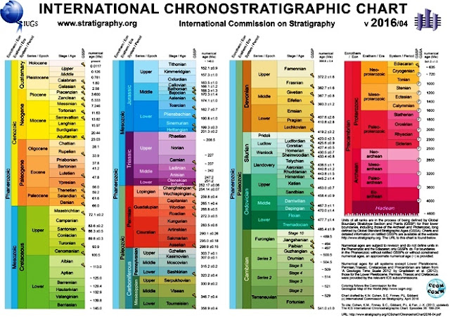 download carotenoids