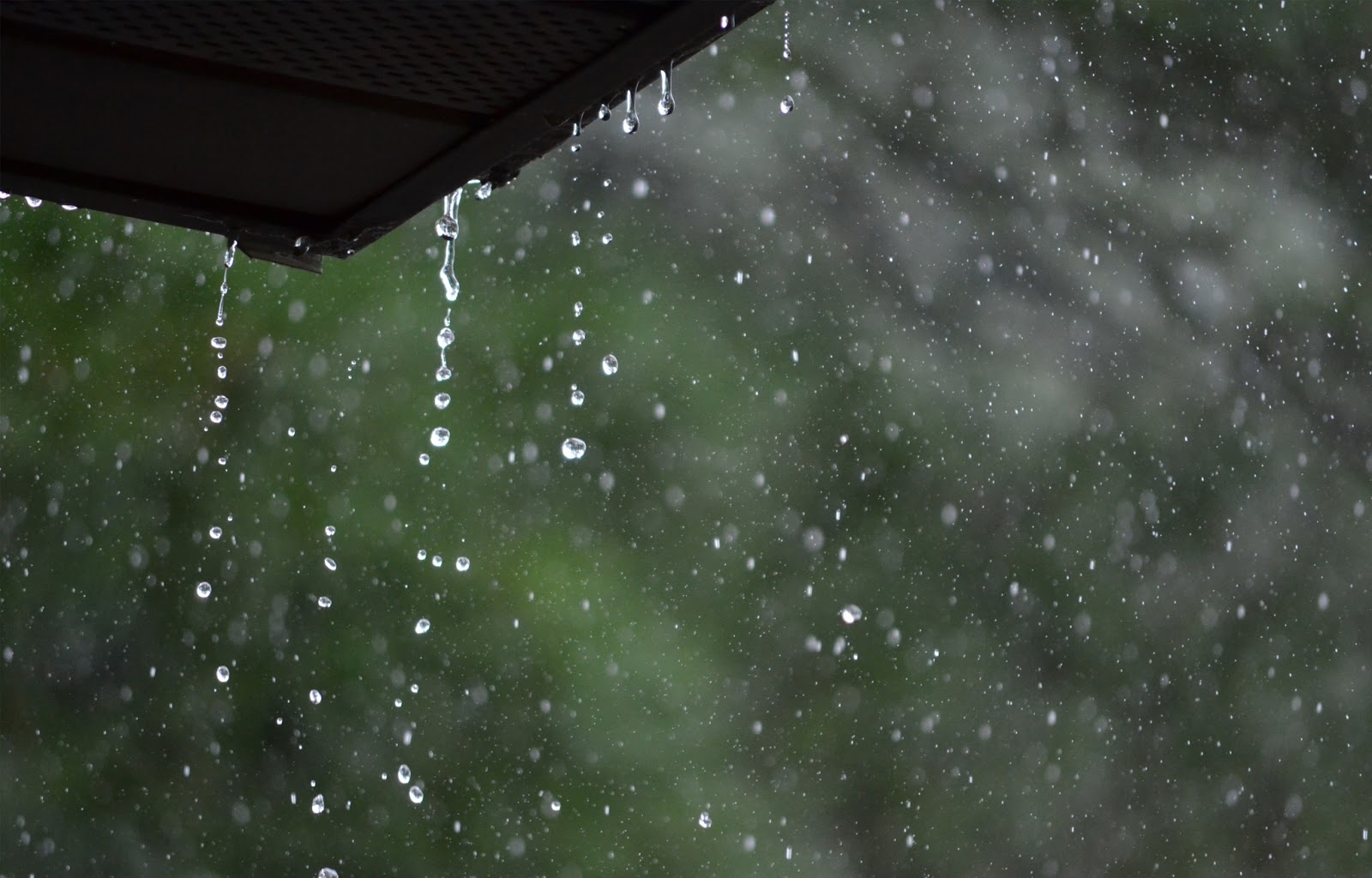 Rain Photography | H