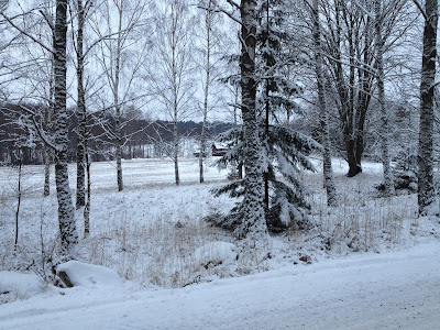 vinterpromenad3 - Powerwalk med Baby istället för Power Baby