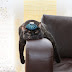 10 Common Kill Diseases The most dangerous on your cat How to Recognize Them