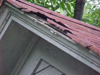 Roof Menders' crew can handle extremely worn edges like this