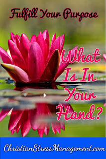 What is in your hand?