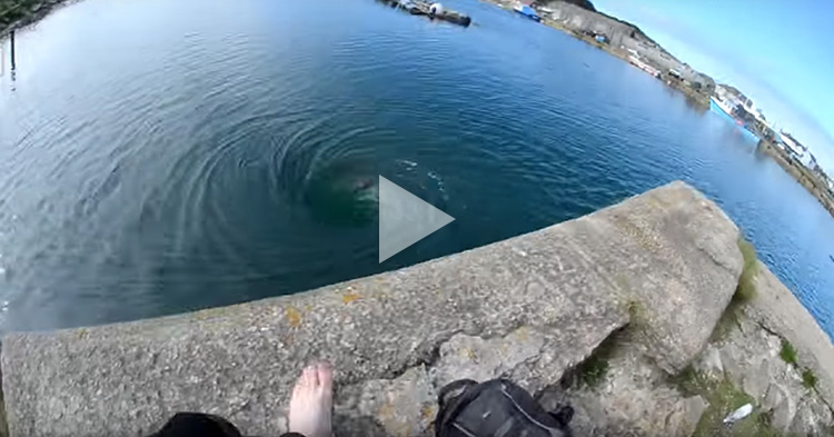 Photographer jumps into an ocean whirlpool