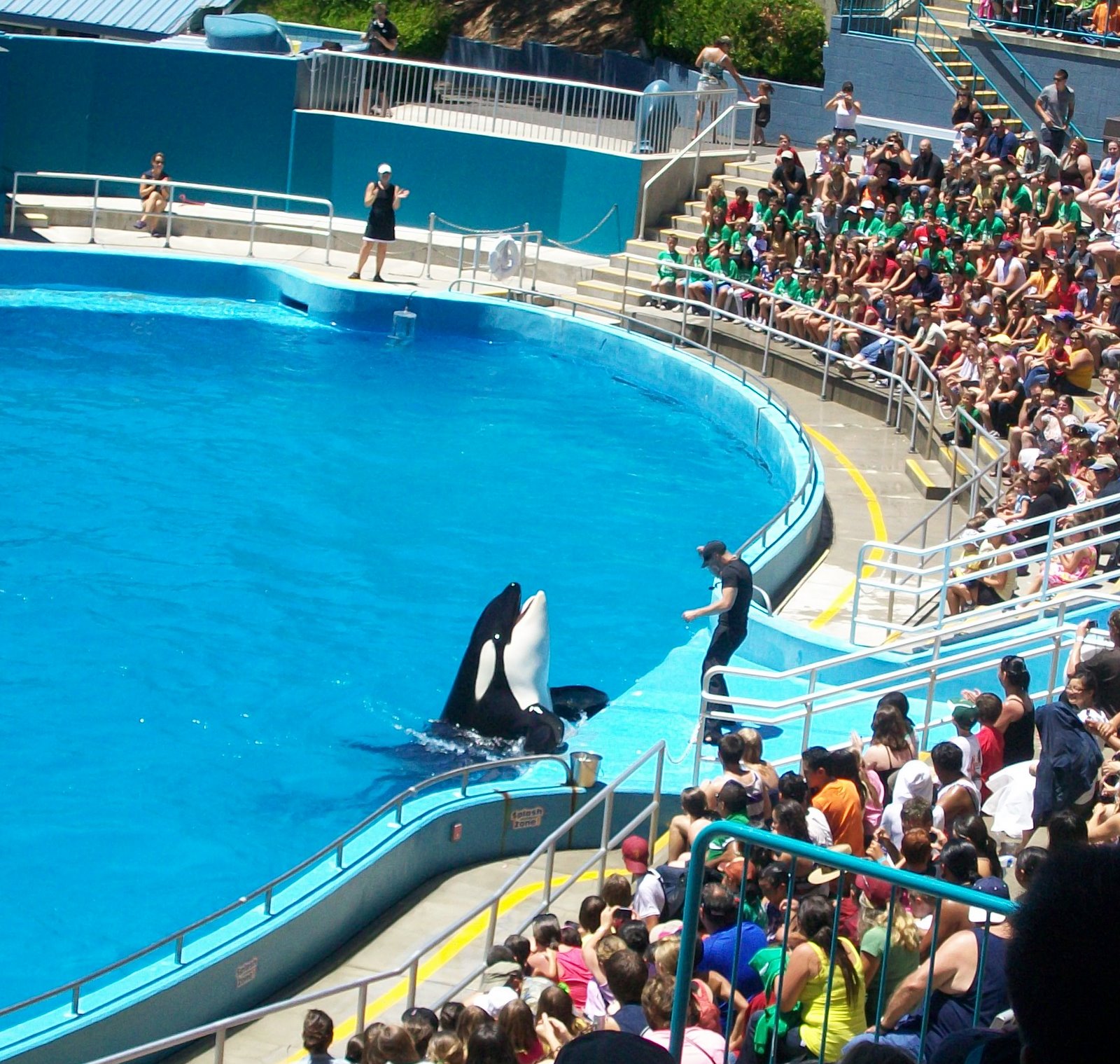 The Wright Spot Six Flags Marine World