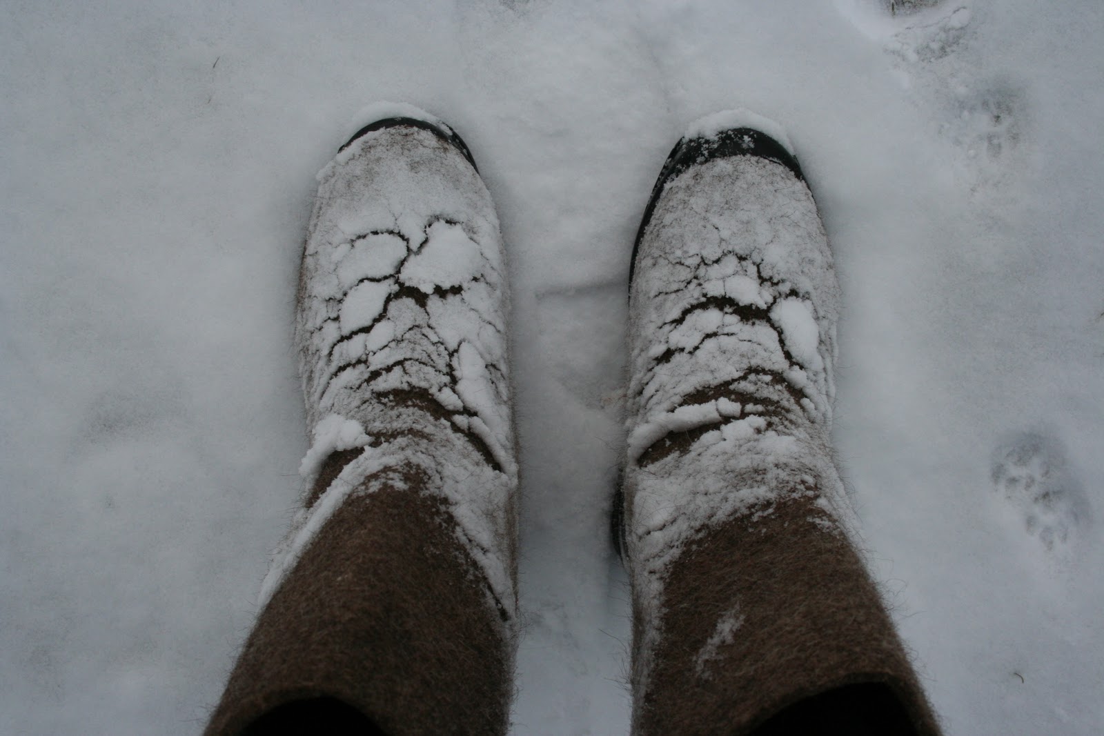 валенки газопровод. валенки на снегу. валенки газопровод. валенки газопровод. ноги в валенках.