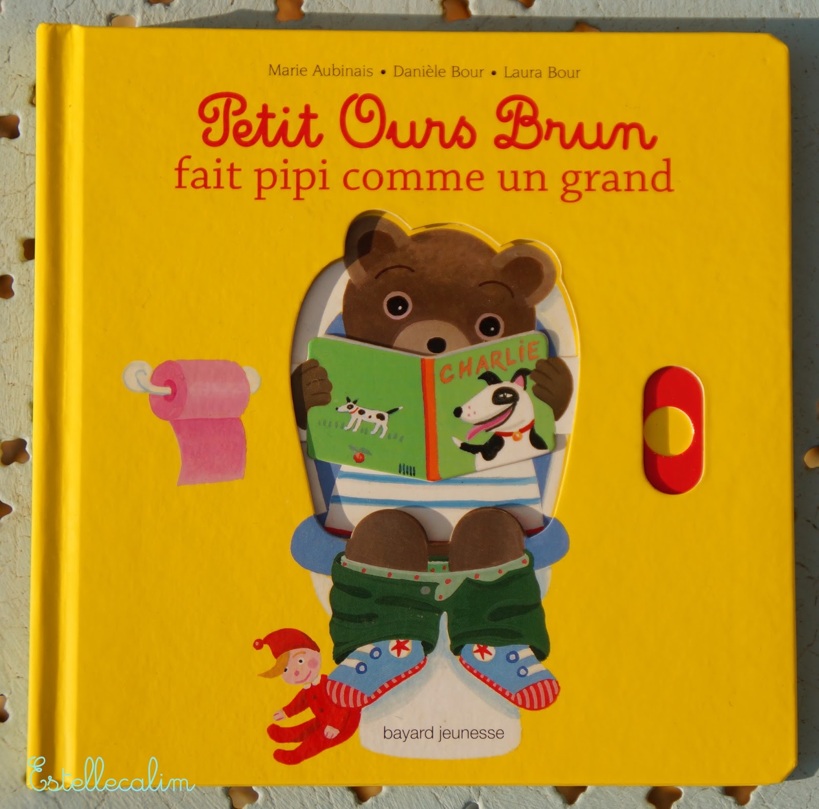 Petit Ours Brun Fait Pipi Comme Un Grand Doudou, maman, papa et moi: Des livres pour... le pot ! (1) 📚💩 [Les