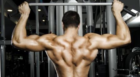 Understanding The Weight Training Basics Concept for Beginners Understanding The Weight Training Basics Concept for Beginners