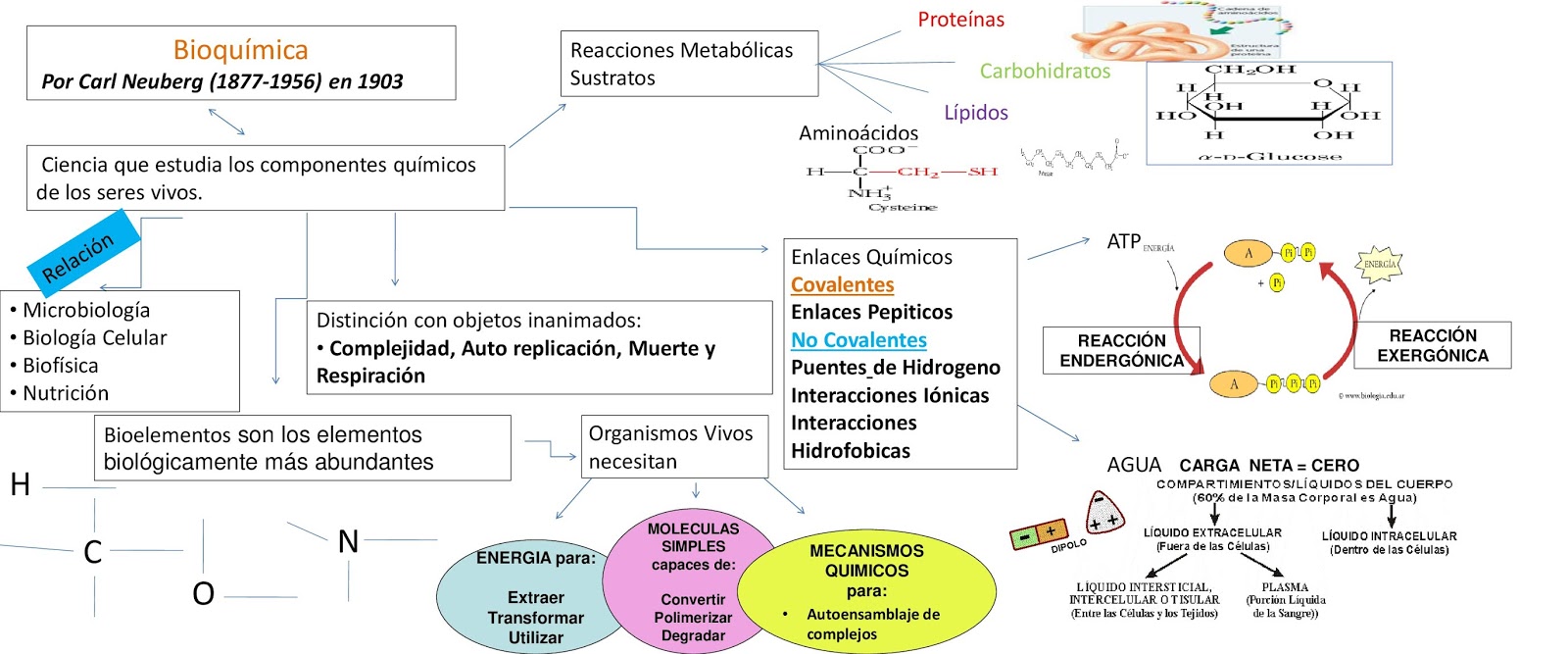 Unidad I Bioquimica conceptos basicos Quimica para la vida