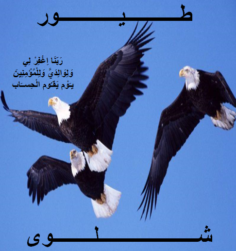 قرح طيور الشيلو. ولكل مثل قصة. إذا كنت تعرف القصة وتفهم المثل وتستخدمه بشكل صحيح فإليك قصة هذا المثال