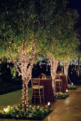 lighting lights trees outdoor string louisville via tree backyard lit lighted fairy weddings rustic setting garden reception patio yard ky