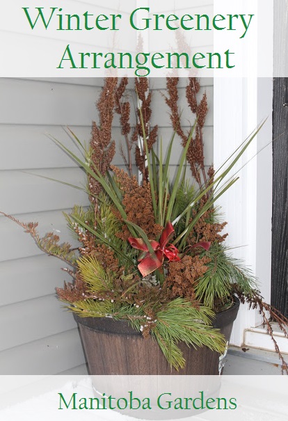 Living Our Lives Well: Winter Greenery Arrangement