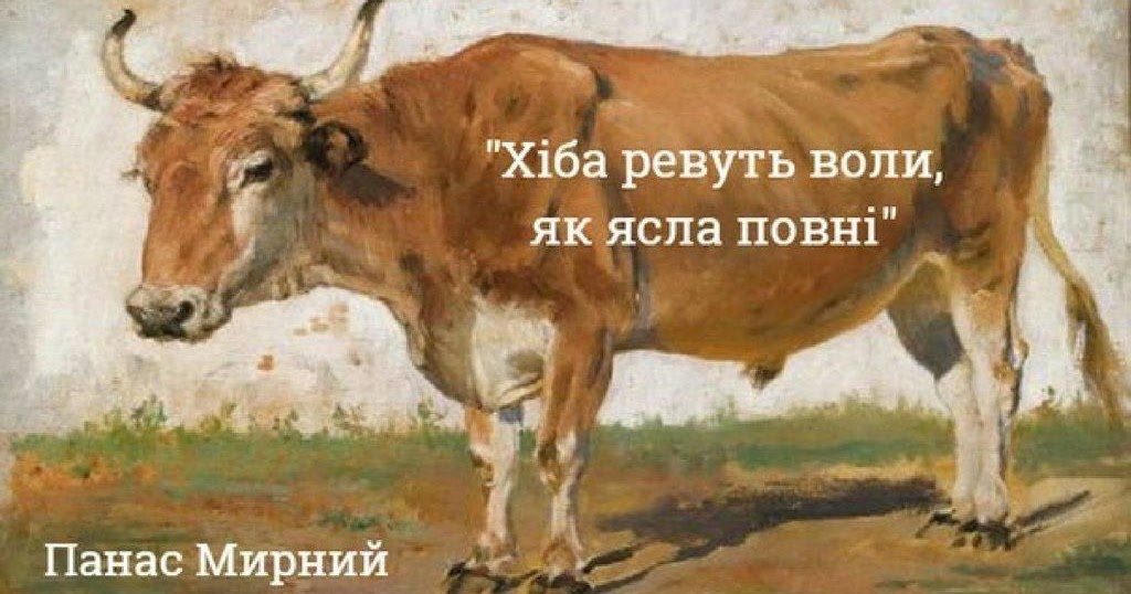 Волы и ось басня. Волы древнее животное. Ярмо для волов. Волы в упряжке. Волы в упряжке.