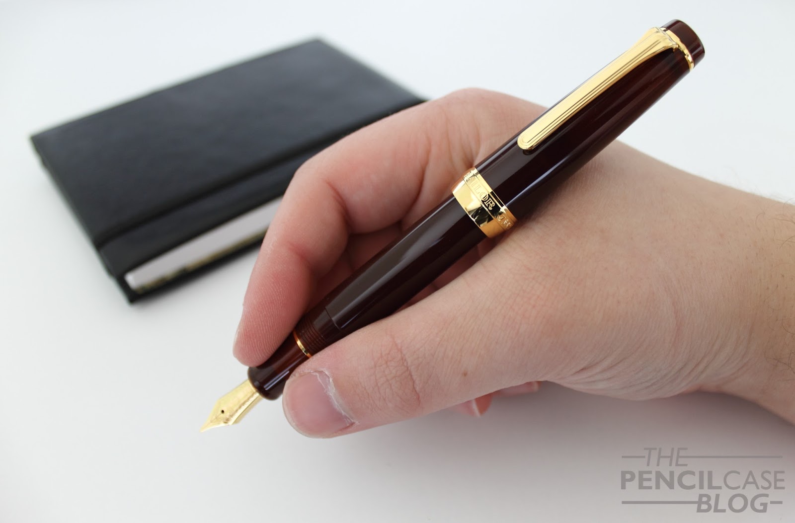 SAILOR PRO GEAR EARTH FOUNTAIN PEN REVIEW The Pencilcase Blog