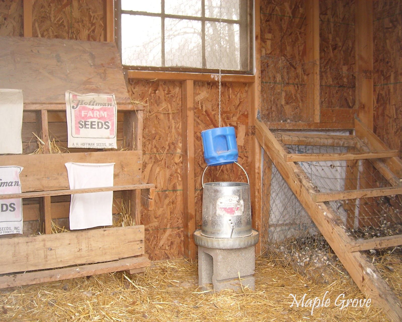 Maple Grove Cleaning the Hen House