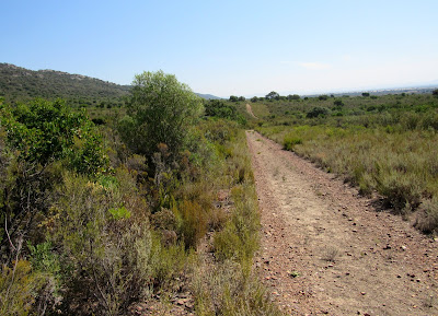 Senda la Viñuela. Rutas por el Parque Nacional de Cabañeros Paisajes de la Senda la Viñuela